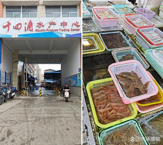 广州有哪些鱼市