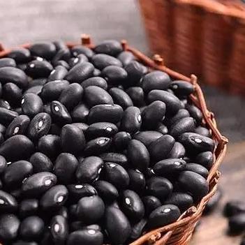 过年哪些行当能快速致富? 过年哪些行当能快速致富?