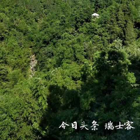 哪些药材种植效益高且变现快? 哪些药材种植效益高且变现快?