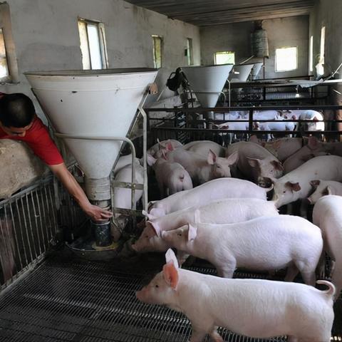 企业信用等级怎么查？哪里看最准？