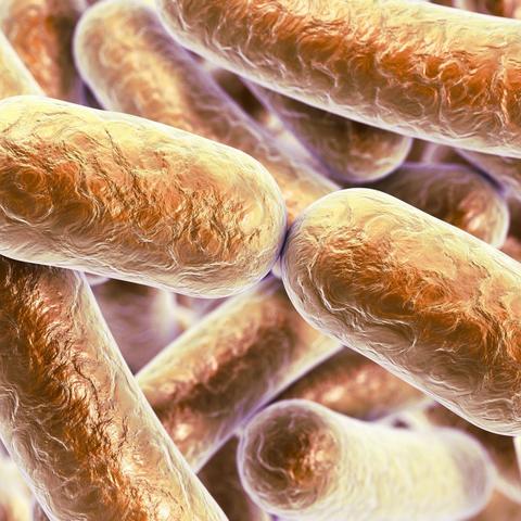 减肥医生具体职责有哪些? 减肥医生具体职责有哪些?