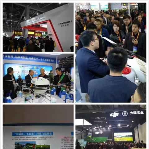 植保助理岗位职责具体包含哪些核心工作？