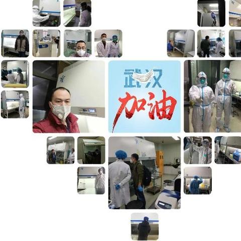 上海力康公司待遇具体如何？福利加班情况怎样？