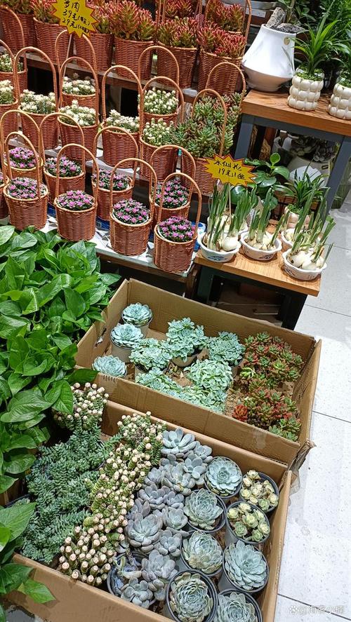 小区哪些生意好做