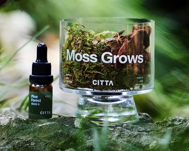 苔藓 有哪些品牌