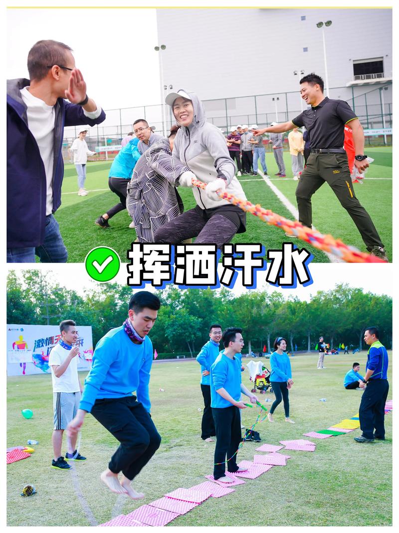 有哪些成功项目