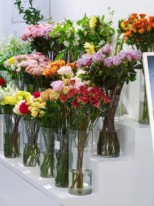 花店花有哪些