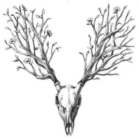 美图岗位职责具体包含哪些核心任务？