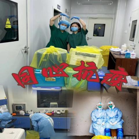 检验行业岗位职责