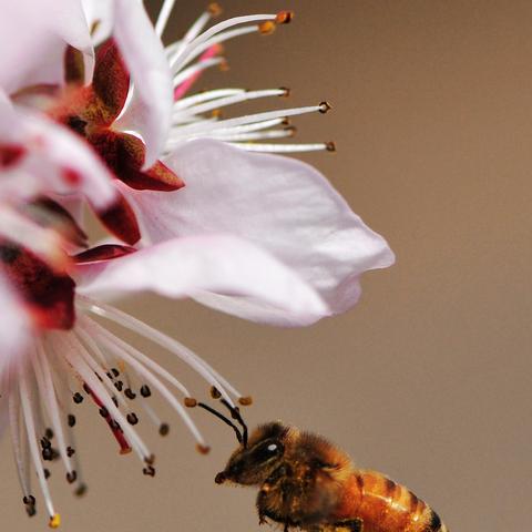 快速熟悉岗位职责