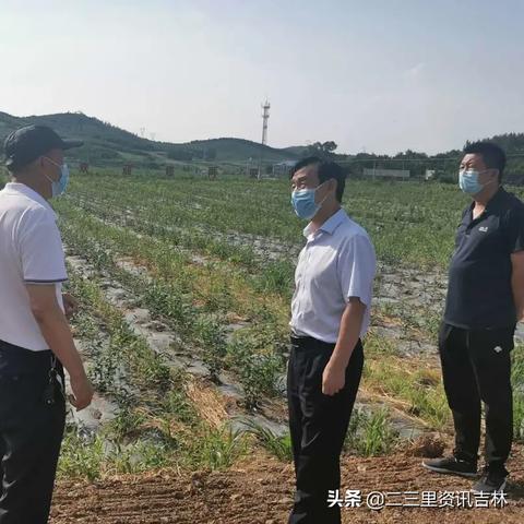 调研督导岗位职责