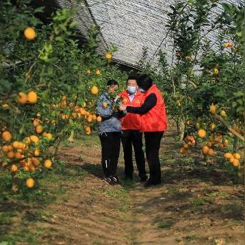 饲料物流岗位职责具体有哪些？