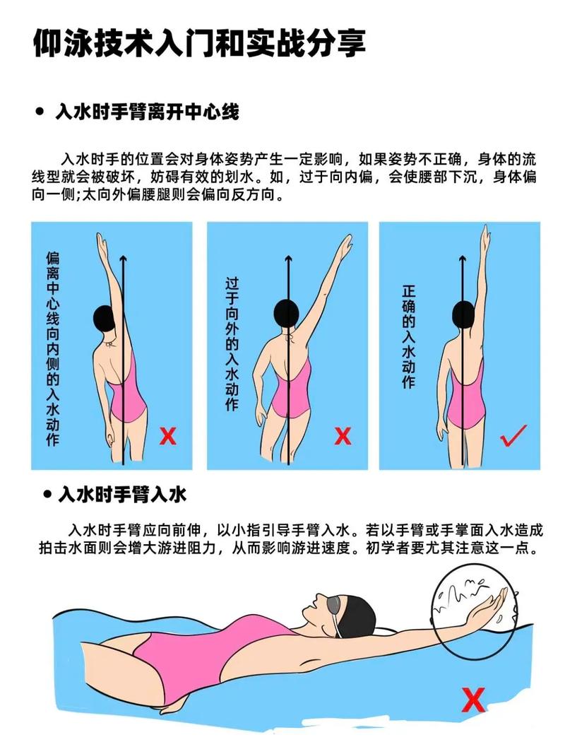 游泳有哪些过程