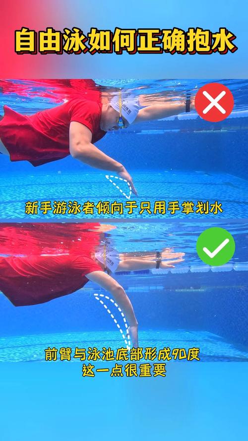 游泳有哪些过程