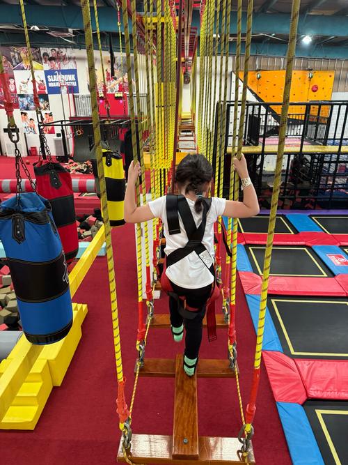 达人项目有哪些