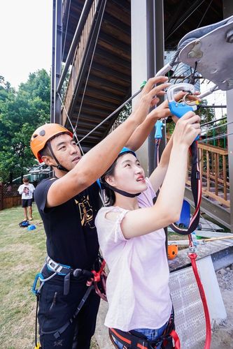 达人项目有哪些