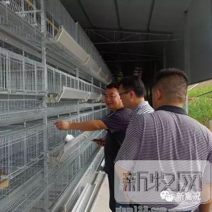 酒楼销售岗职责具体包含哪些核心内容？