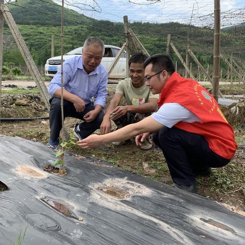 贷专员岗位职责具体包含哪些核心任务？