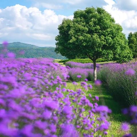 快乐项目有哪些