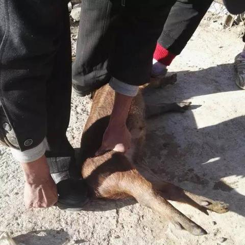 北京行业有哪些