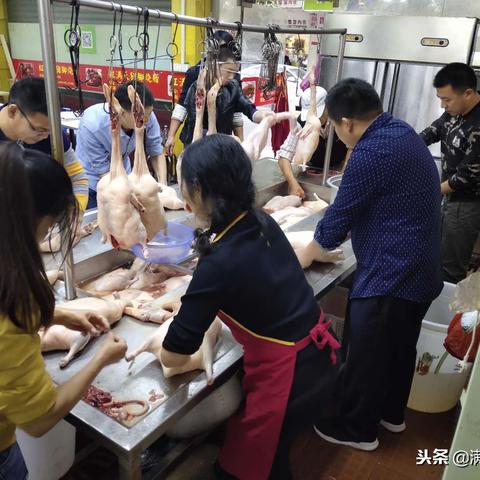 广州靠谱加盟项目有哪些? 广州靠谱加盟项目有哪些?