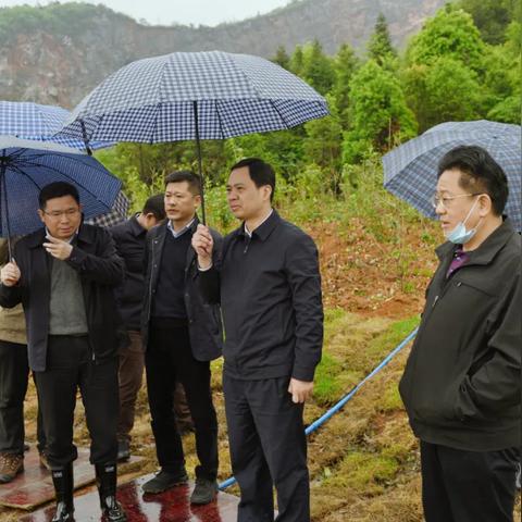 环保公益岗位职责具体包含哪些核心内容？