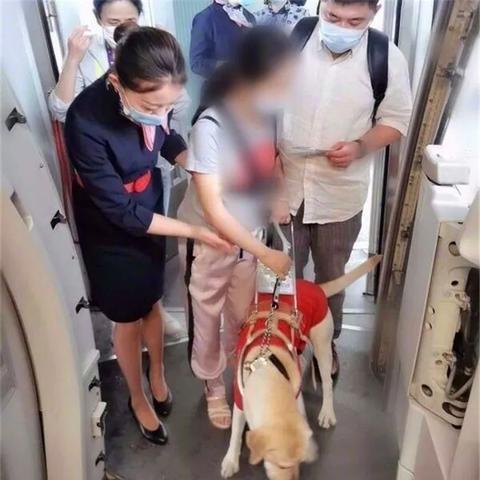 轨道司机岗位职责具体有哪些？