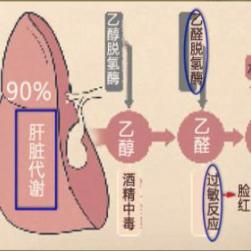 解酒饮品哪种最有效？