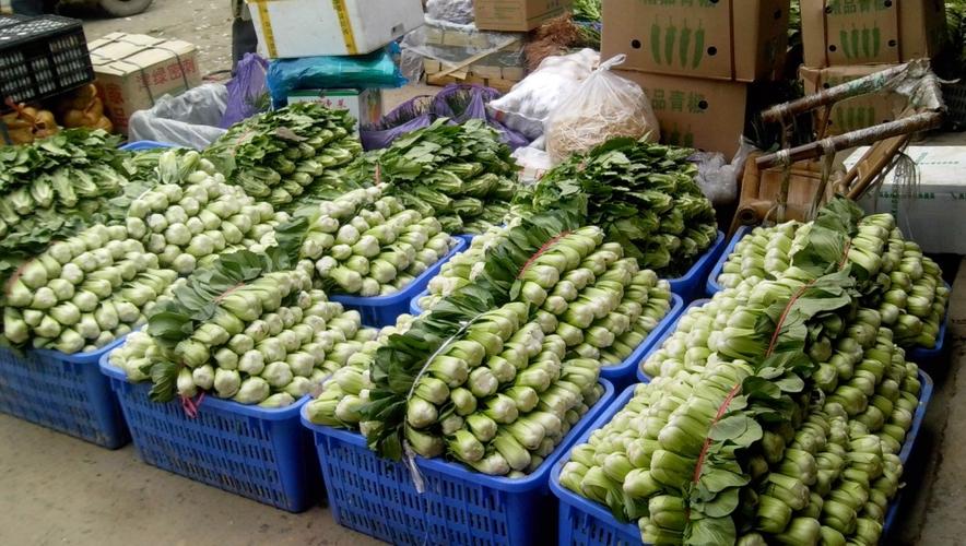 南充都有哪些批发