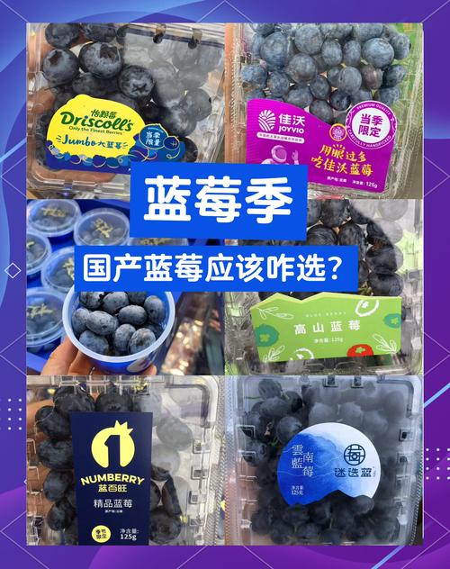 蓝莓品牌有哪些