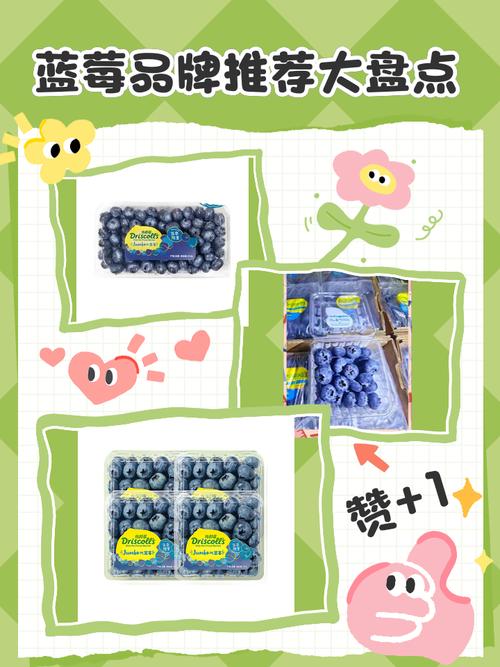 蓝莓品牌有哪些