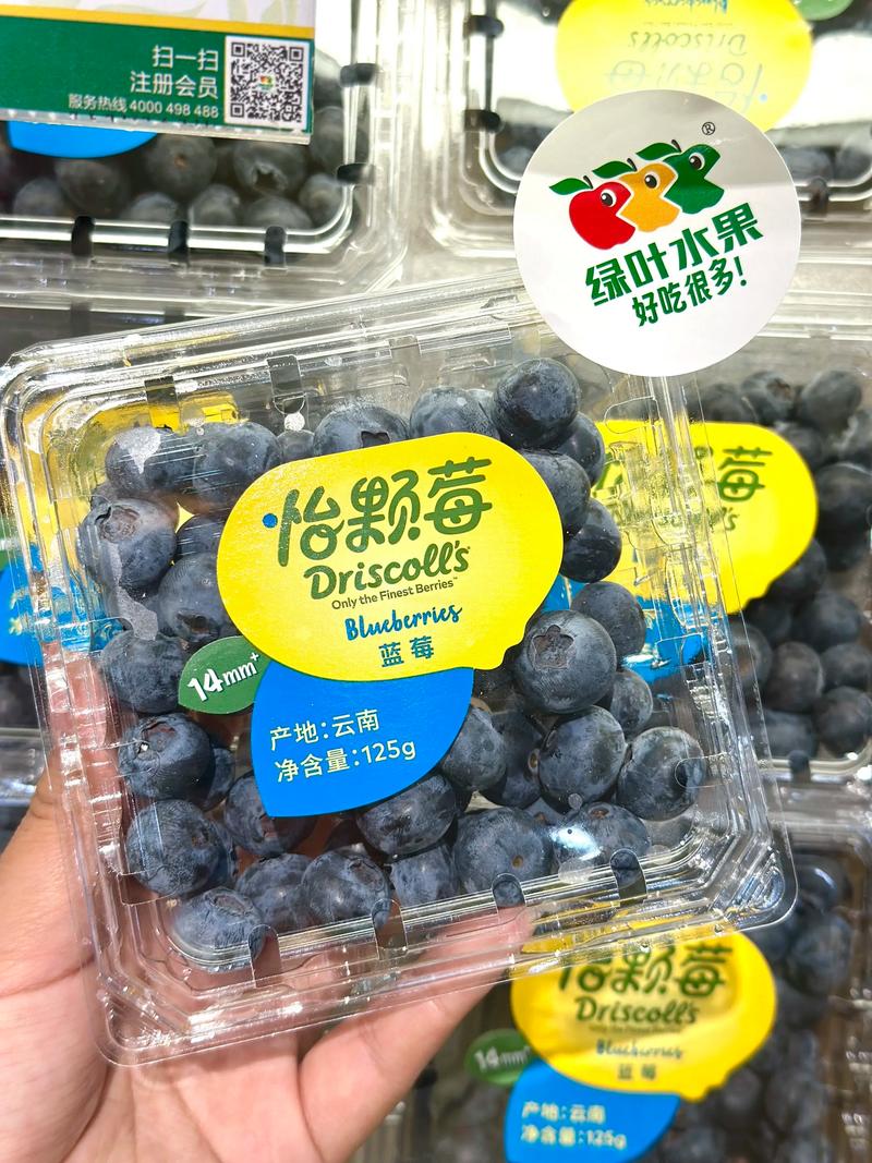 蓝莓品牌有哪些