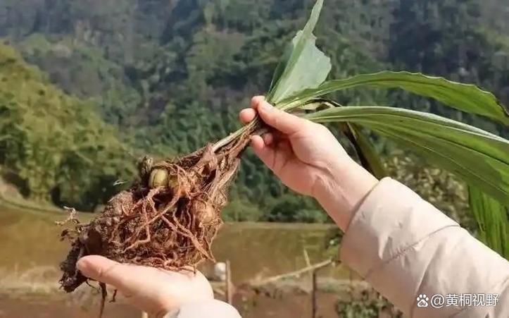 哪些东西不愁销路