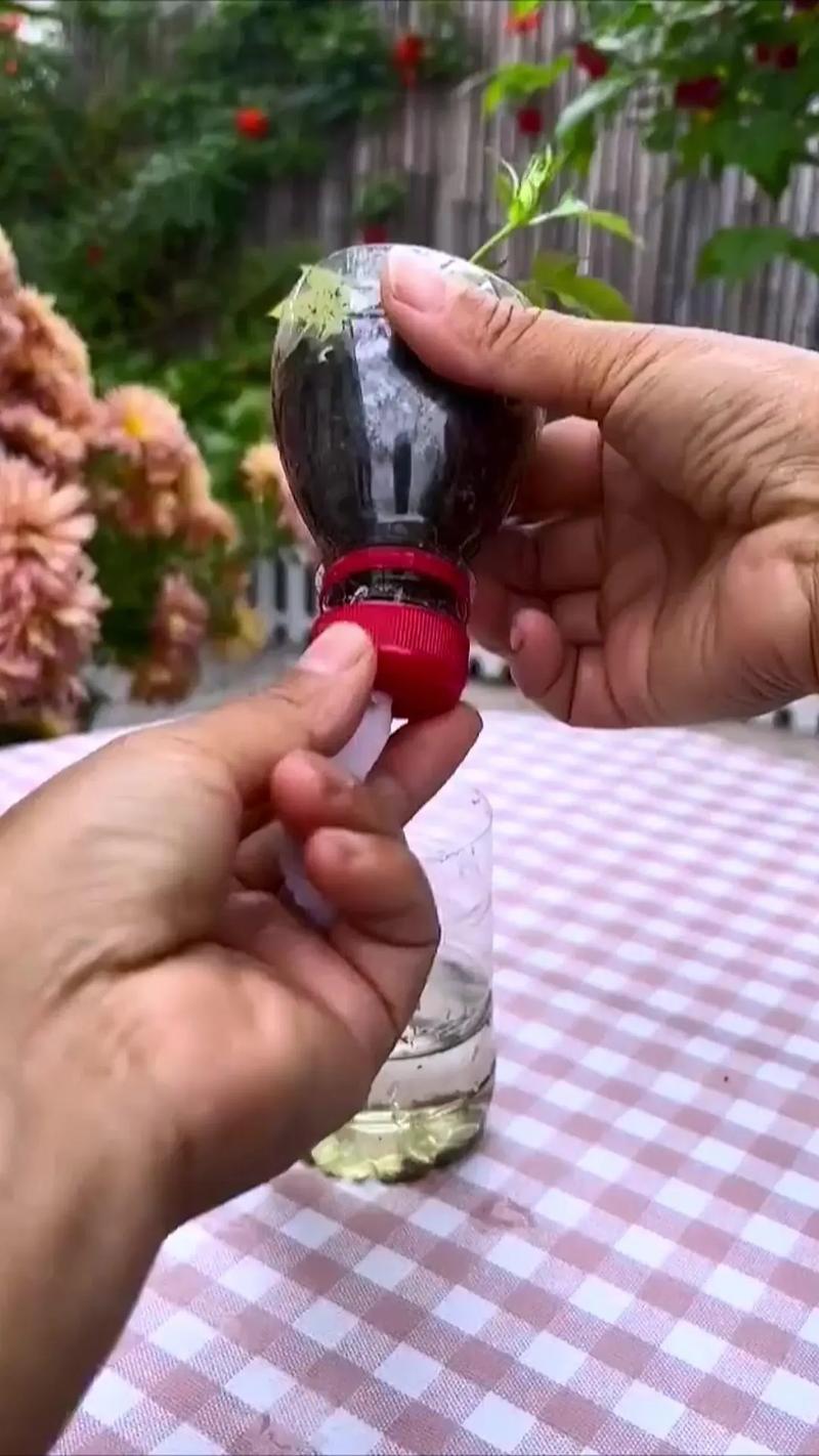 哪些技术简单易学