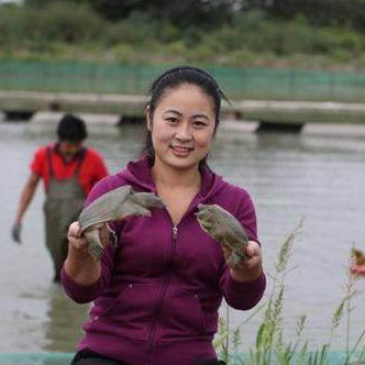 哪些技术简单易学