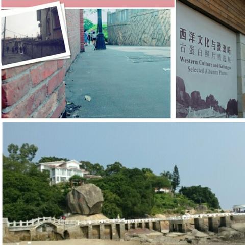 半岛奶茶有哪些热门款？