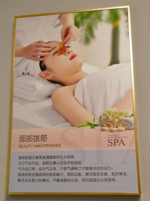 经络美容包括哪些