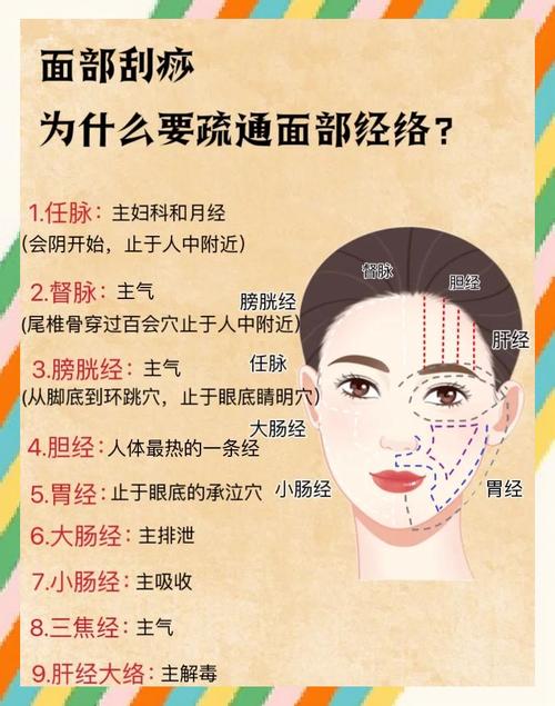 经络美容包括哪些