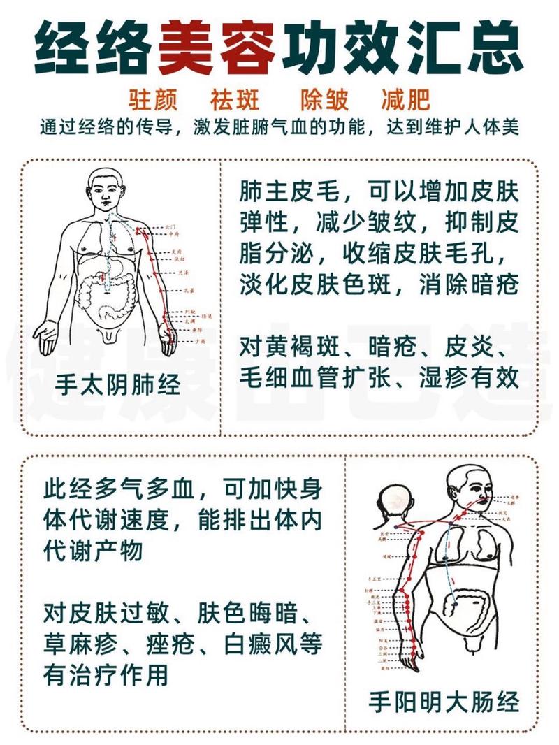 经络美容包括哪些