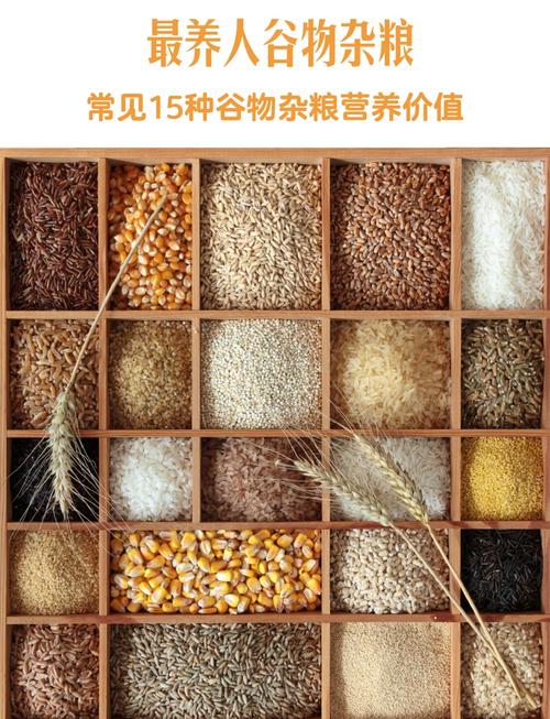 杂粮有哪些品类