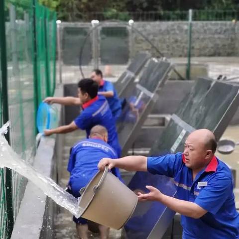 油品配送岗位职责具体有哪些核心内容？