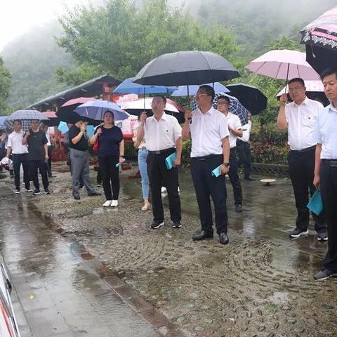 代理项目岗位职责具体包含哪些核心内容? 代理项目岗位职责具体包含哪些核心内容?