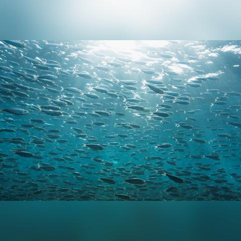 创意组岗位职责具体包含哪些核心任务？