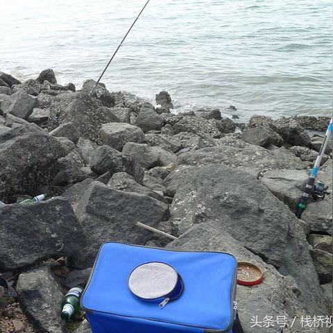 烧烤适合哪些名字