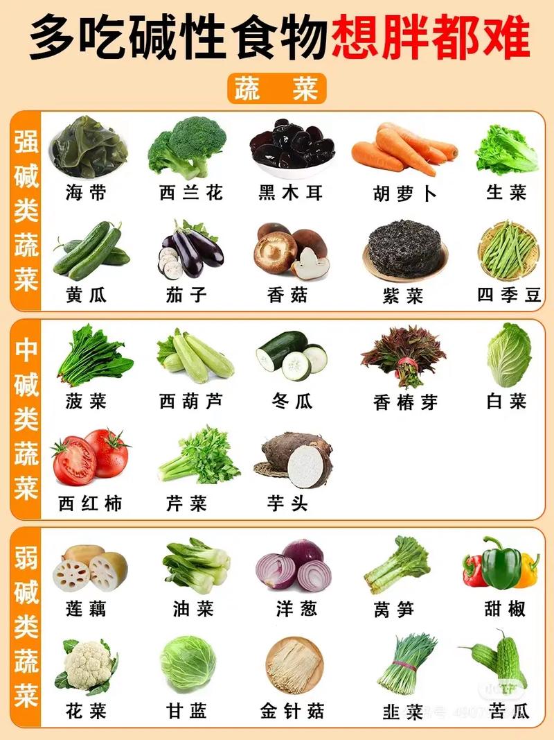 配菜类都有哪些