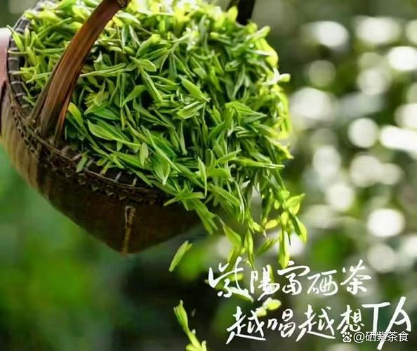 大众茶都有哪些