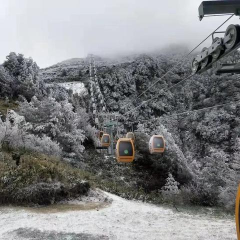 景区卡位岗位职责具体指什么？