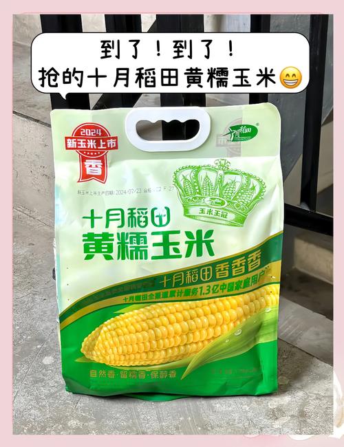 玉米有哪些牌子