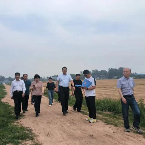 物流岗位职责具体包含哪些核心内容？