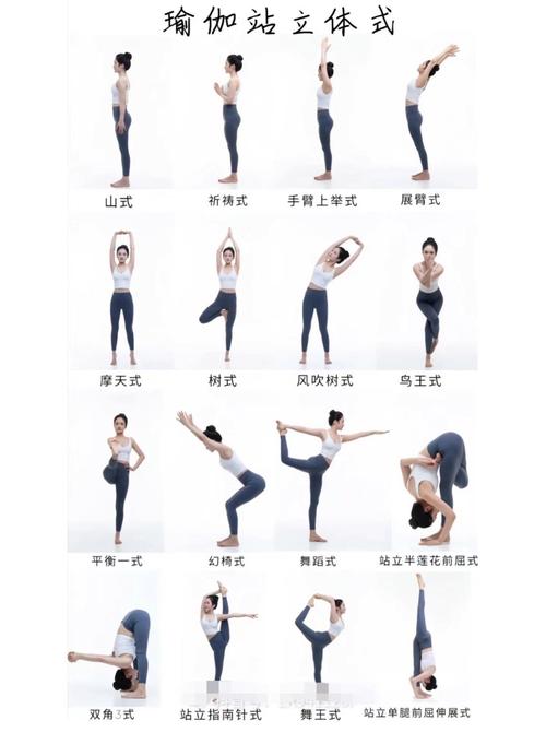 连锁瑜伽有哪些